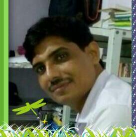 Mr. Laxmi Narayan